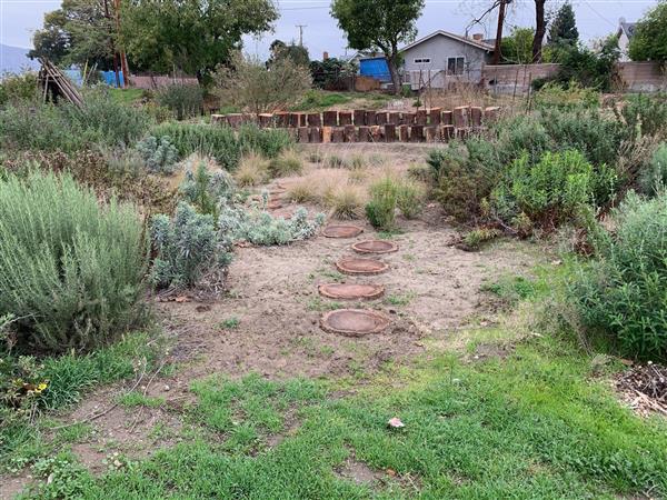 Eco Urban Garden